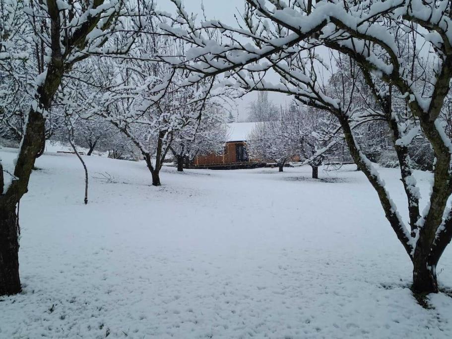 Вилла Nica Wood Sremska Kamenica Экстерьер фото