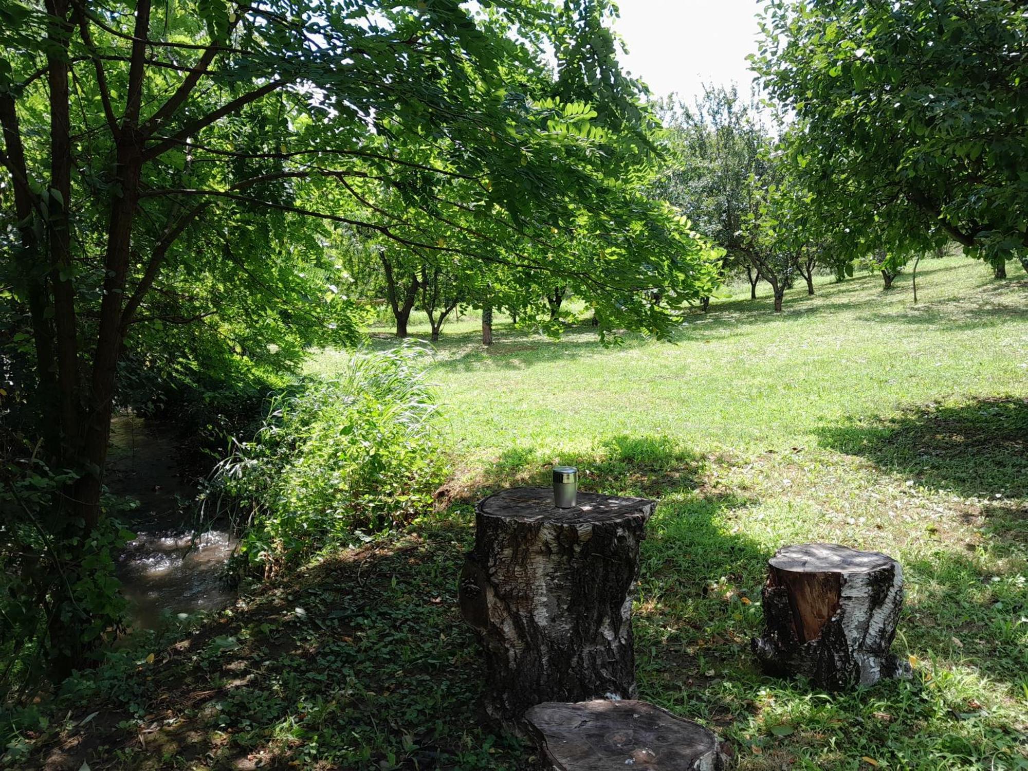 Вилла Nica Wood Sremska Kamenica Экстерьер фото